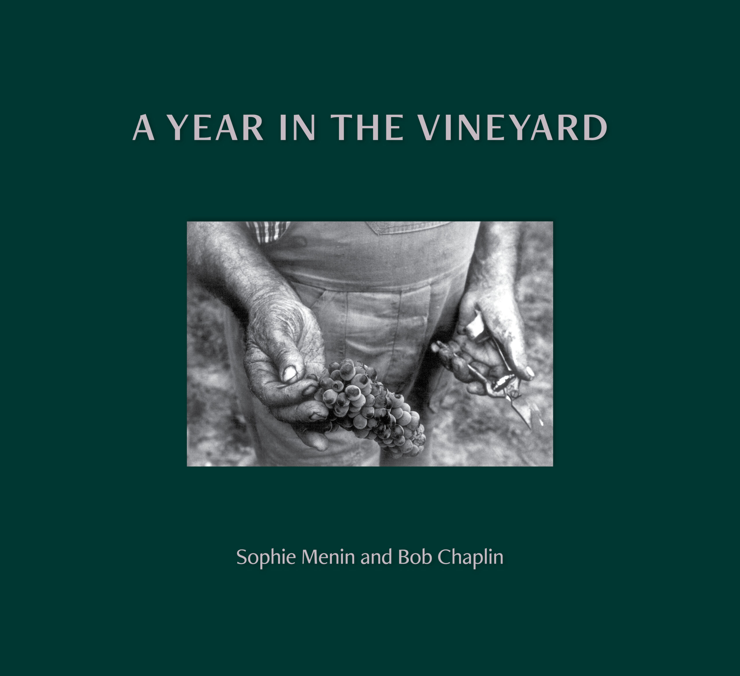 A YEAR IN THE VINEYARD by Sophie Menin and Bob Chaplin